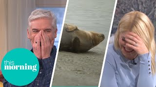Phillip & Holly Lose it as Seal Urinates Live on TV | This Morning