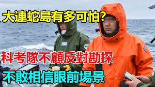 大連蛇島有多可怕？科考隊不顧反對勘探，不敢相信眼前場景   #大案紀實錄 #案件解說 _ M2档案 _ 小禾紀事_x調查