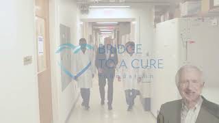 Bridge To A Cure Foundation: Transform Presentation