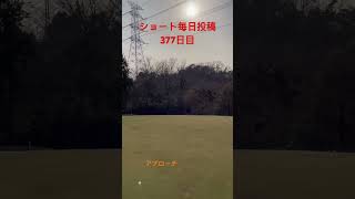 ショート毎日投稿377日目・毎週土曜日ラウンド動画更新予定(お休み中)#ゴルフ #golf #毎日投稿#shorts #short #shortvideo #オーストラリア#旅行