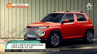 [차차차] 경차와 SUV의 강점을 모았다! 차박도 가능한 경형 SUV!  | 행복한 아침 677 회