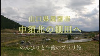 【山口県】【がんさんぽ】中須北の棚田へ    田植え準備中の棚田を散策させていただきました♪【周南市】CANON eosr6