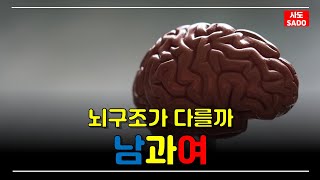 남자와 여자는 뇌구조가 다를까