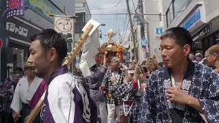 北澤八幡神社例大祭　本社神輿町内渡御　2024/09/08  a18