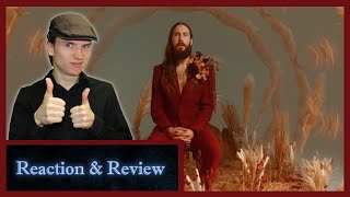 Musician reacts to Avi Kaplan - Peace Somehow (Official Music Video)