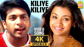 Kiliye Kiliye - 4K Video Song | கிளியே | Unakkum Enakkum | Jayam Ravi | Trisha | Devi Sri Prasad