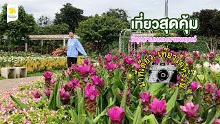 มาที่เดียวเที่ยวได้ทั้งวัน🌸ที่อุทยานหลวงราชพฤกษ์ จ.เชียงใหม่