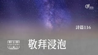 20230204 | 敬拜浸泡 |  詩篇116