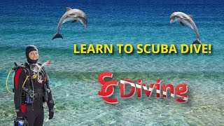 Learn to Scuba Dive with SCDiving