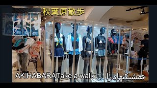 Akihabara station walk through #秋葉原 散歩ラジオ会館ビジョン ANEME