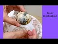 miless is live! #asmr #peeling balut #satisfying