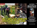 SATU KAMPUNG CABAR TUAN LEMBU‼️PUNCA KEMALANGAN.MAUT DI SABAK BERNAM, SELANGOR