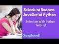 Selenium Execute JavaScript Python | Selenium With Python Tutorial For Beginners