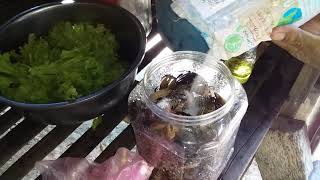 How to pickle delicious crab - វិធីជ្រក់ក្ដាមអោយឆ្ញាញ់