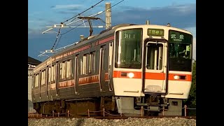 【最高の光線の中を駆け抜ける‼︎】JR東海311系 G1編成 区間快速武豊 5842Fﾚ 乙川-半田間