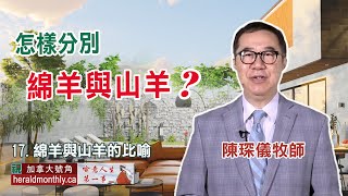 喻意人生第一事：綿羊與山羊的比喻