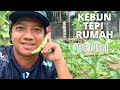 KEBUN TEPI RUMAH - EPISODE BENDI