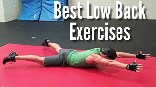 BEST Lower Back Exercises for Home | Low Back Pain Relief | Sean Vigue Fitness