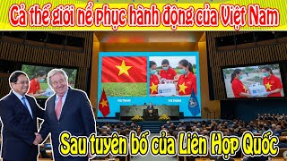 The whole world admires Vietnam's actions after the United Nations' statement