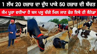 1 ਲੱਖ 20 ਹਜ਼ਾਰ ਦਾ ਦੁੱਧ ਪਾਕੇ 50 ਹਜ਼ਾਰ ਦੀ ਬੱਚਤ | DAIRY FARM INFORMATION | SMALL DAIRY FARM