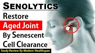 Senolytics Restores Aged Joint By Senescent Cell Clearance | Study Review