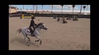 Gucci IC and Olivia Sweetnam - 1.20m Low JR/AO Holiday and Horses