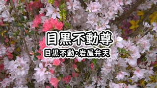 目黒不動　瀧泉寺　むかし散歩