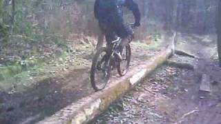 Belvoir MTB Belfast