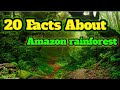 Strange Facts About Amazon Rainforest |Zoo Zap facts |