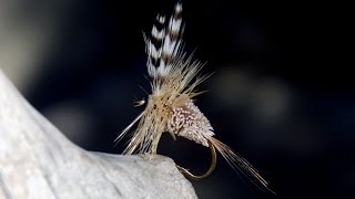 irresistible - rat faced mc dougal dry fly tying instructions