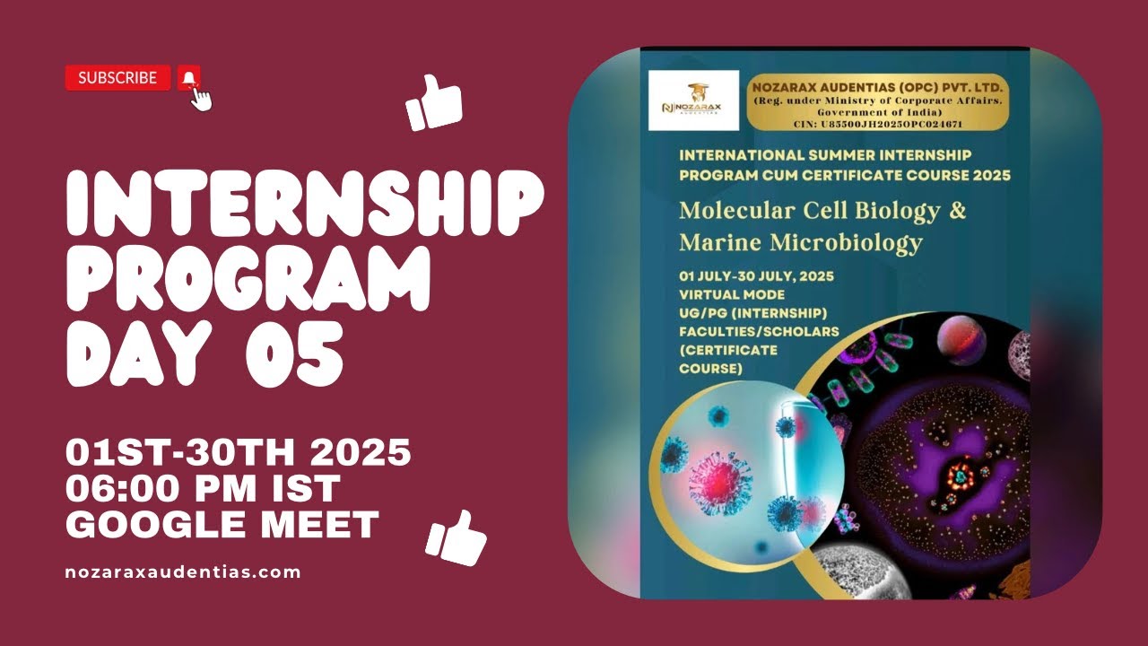 Internship Programme Day 5 Youtube