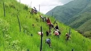 เพลงอาข่าดั่งเดิม - เพลงโบราณตั้งแต่อดีตบรรพบุรุษมา ( Traditional Akha Songs )