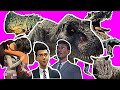 Camp Cretaceous season 5 the Musical Realistic version