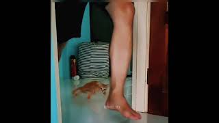 Cute Cat Drift | Freak Cat | നിക്കട അവിടെ 😜🙄😡😡|| MIKHAEL EDITZ ||