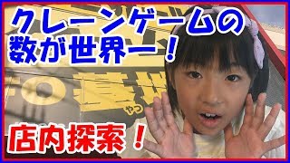 生放送！【世界一のエブリデイ行田店】店内をライブで歩き回りました！クレーンゲーム UFOキャッチャー 事故 お菓子 ぬいぐるみ フィギュア ハンドスピナー スクイーズなど大量にありました ゲット