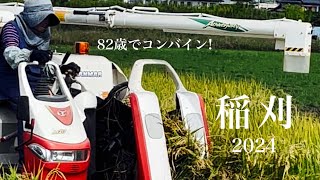 小さな農家の稲刈り 2024