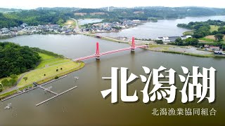 北潟湖（北潟漁協）ドローン映像