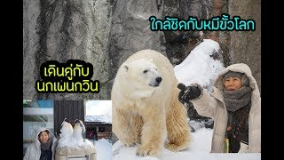 ไปดูหิมะกันไหม Hokkaido EP.03