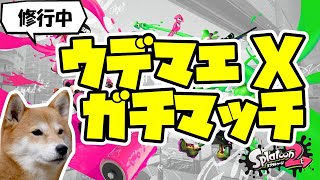 【スプラトゥーン2】ウデマエX ガチマッチ！【プライム修行中】