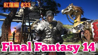 【FF14】アニマウェポン作成、メインストーリー進行など☘️【紅蓮の解放者 編】