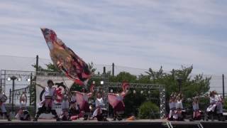 2017-6-3　犬山踊芸祭　　「Ｍｅｅｔｉα」