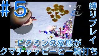 【ピクミン2】【クマチャッピー縛り】ピクミンの変態がクマチャッピーと一騎打ちpart5【ライジング】