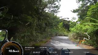 《沖縄ツーリング》大国林道をバイクで走る《マングース除け／やんばるクルーズ》／SONY AS300 モトブログ '18春