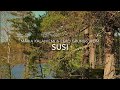 Susi (Wolf) - Maria Kalaniemi & Eero Grundström