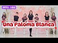 Una Paloma Blanca Line Dance | Easy Improver | Caecilia Maria Fatruan #국금선라인댄스 #성남위례라인댄스 #라인댄스 