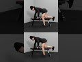 body iron foldable flat bench gymequipment gymlife gymequipments homegym gymlover gymworkout