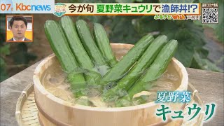 今が旬！福岡・芦屋町の絶品キュウリで完成の「漁師丼」