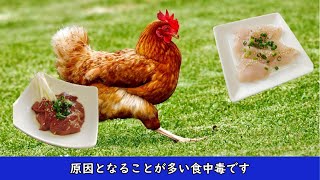 食中毒啓発ファイル　Ｆｉｌｅ2 カンピロバクター食中毒