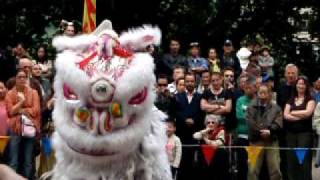 蔡李佛林賡發國術龍獅團7-12-2008九龍公園功夫閣表演