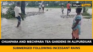 Chuapara and Mechpara tea gardens in Alipurduar submerged following incessant rains (Hindi)